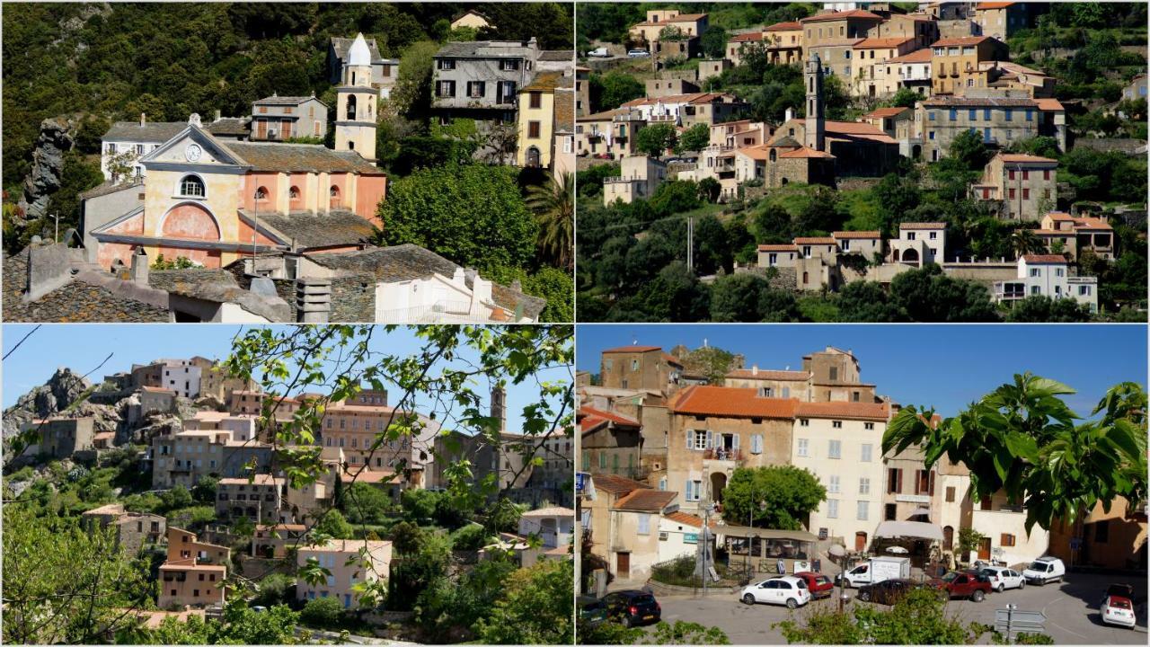 Lozari *