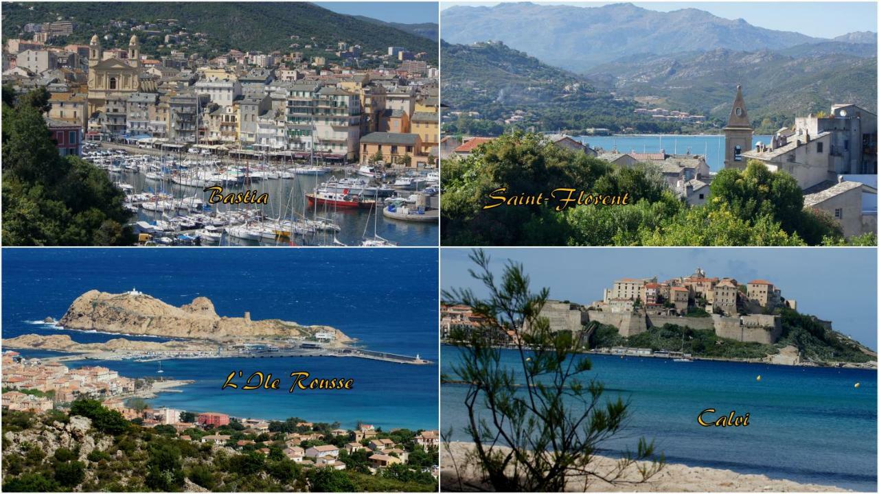 Lozari Apartment Belgodere (Corsica)