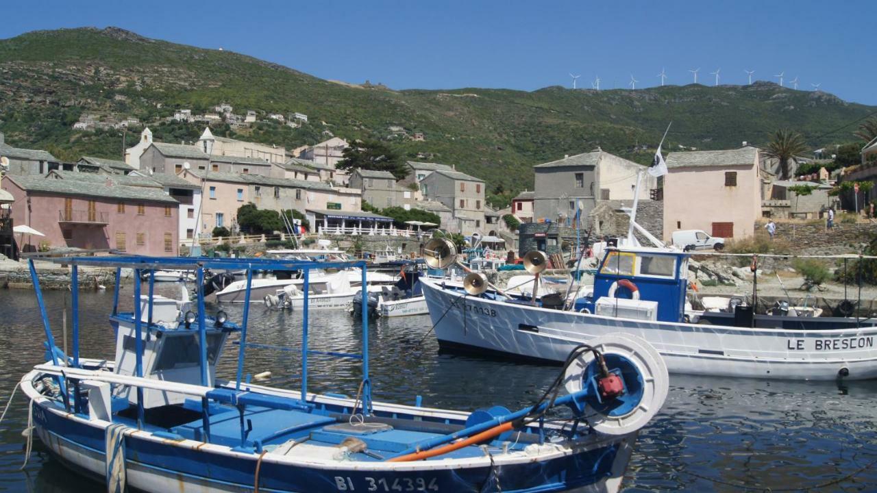 Apartment Lozari Belgodere (Corsica)