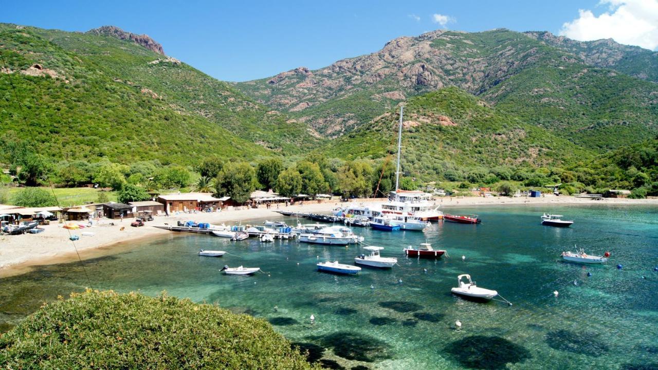 Apartment Lozari Belgodere (Corsica)