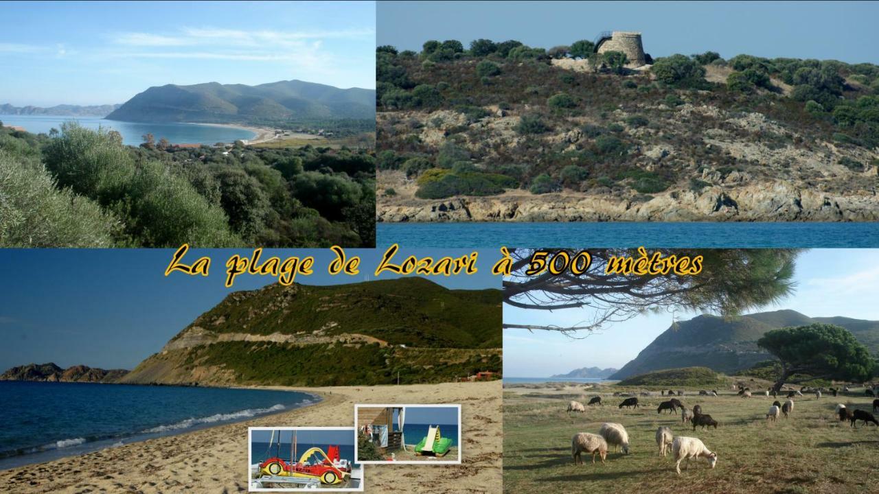 Lozari Belgodere (Corsica)